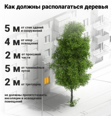 Зеленые насаждения и МКД