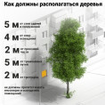 Зеленые насаждения и МКД